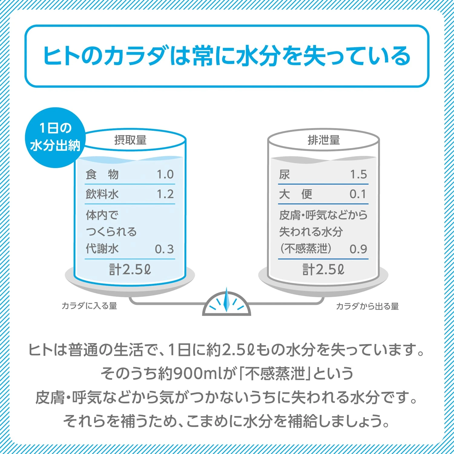 【送料込み】大塚製薬 ポカリスエット イオンウォーター ペットボトル 300ml×2ケース (48本)